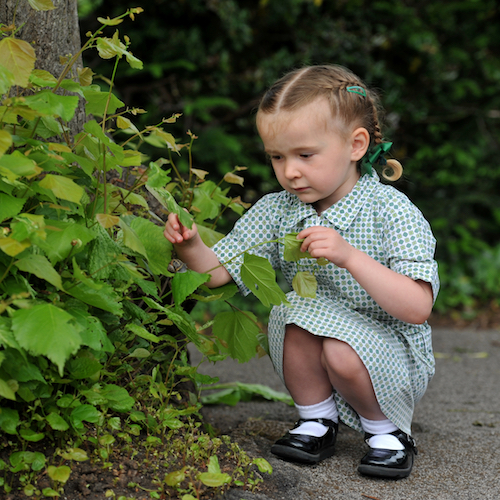 Pattison Nursery